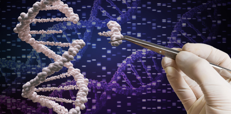 Gloved hand putting piece of DNA in helix