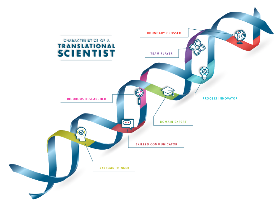 Seven characteristics of a translational scientist include: boundary crosser, team player, process innovator, domain expert, rigorous researcher, skilled communicator and systems thinker