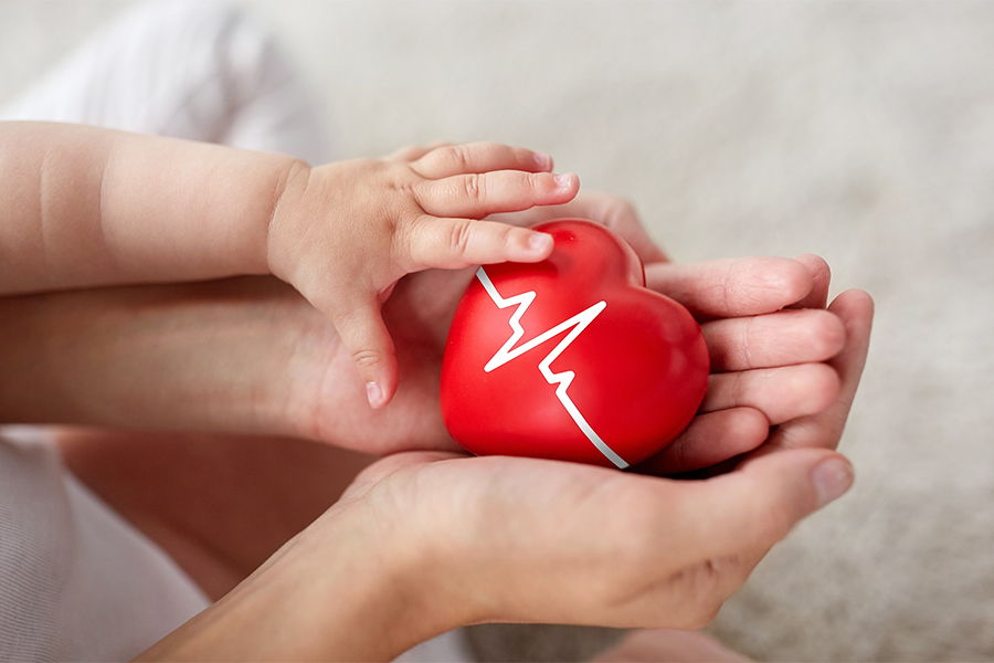 Close up of baby and mother's hands holding red heart with ECG line