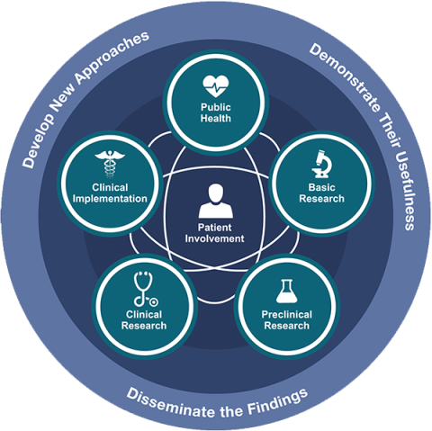 Infographic displaying the Translational Science Spectrum.